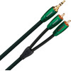 AudioQuest Evergreen 3,5 mm vers RCA 1 mètre