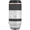 Canon RF 100-500mm f/4.5-7.1L IS USM