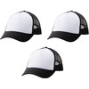 Cricut Trucker Hat (3-pack)