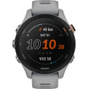 Garmin Forerunner 255S Gris Clair