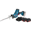 Bosch Professional GSA 18 V-LI C avec Batterie 4,0 Ah (2x)