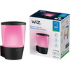 WiZ Elpas - Wandlamp buiten - Gekleurd en Wit licht - Zwart