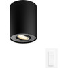 Philips Hue Pillar Opbouwspot White Ambiance - Zwart - 1-spots + Dimmer