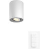 Philips Hue Pillar Opbouwspot White Ambiance - Wit - 1-spots + Dimmer