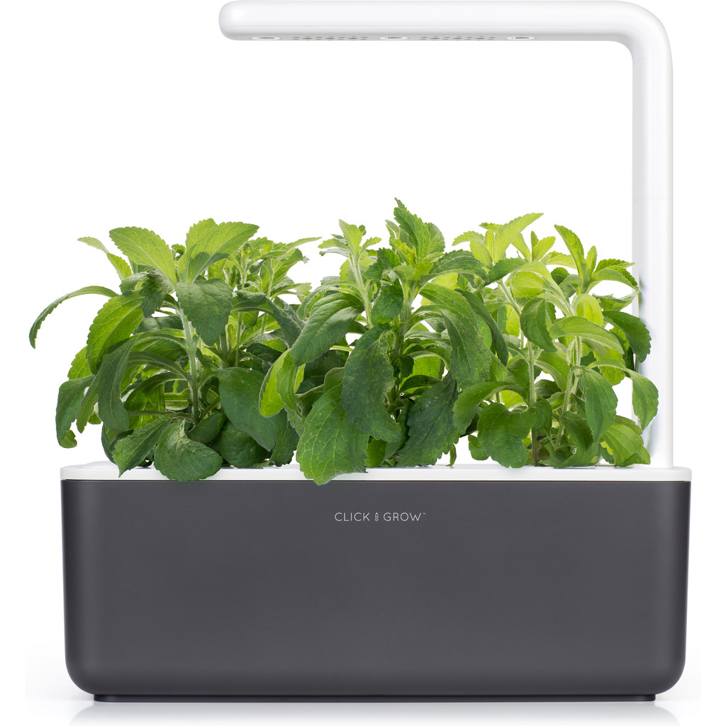 Click & Grow Smart Garden 3 - Gris anthracite