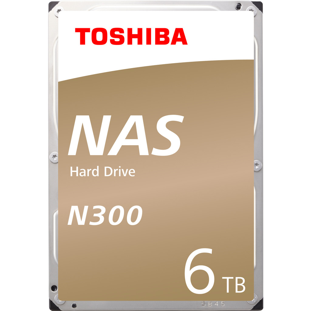 Toshiba N300 HDWN160EZSTA 6 To