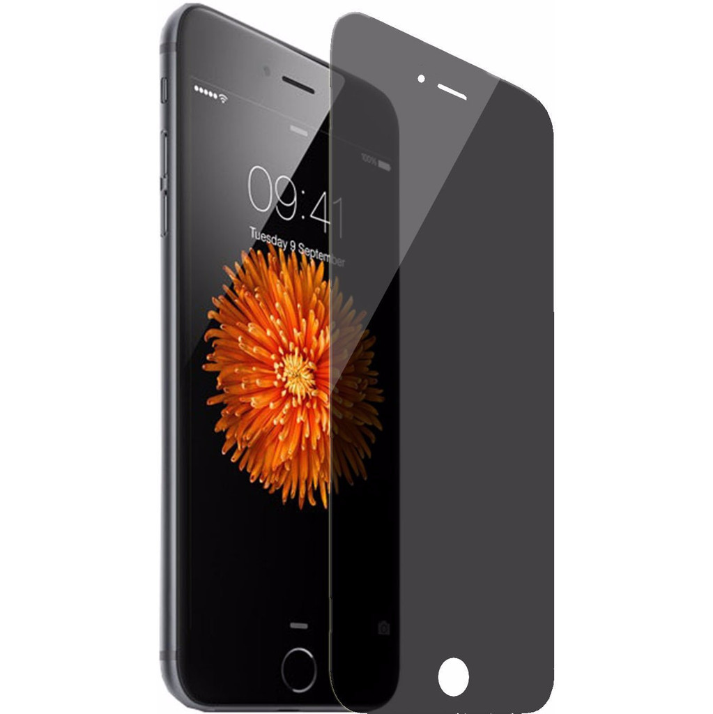 PanzerGlass Protège-écran pour Apple iPhone 6/6s/7/8 Privacy