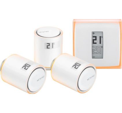 netatmo thermostat google assistant