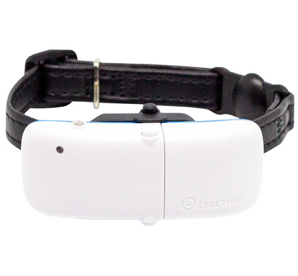 Collier GPS pour chat - Tractive GPS CAT (2021) blanc Tractive