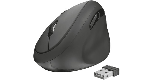 Comment connecter ma souris sans fil ? - Coolblue - tout pour un