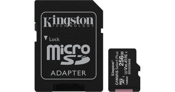 Carte Micro SD Kingston 256 Go 100 Mo/s 