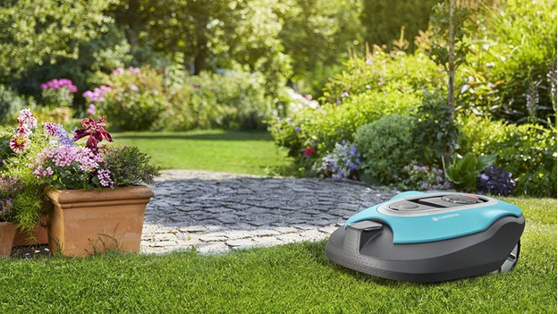 Robot-tondeuse dans le jardin