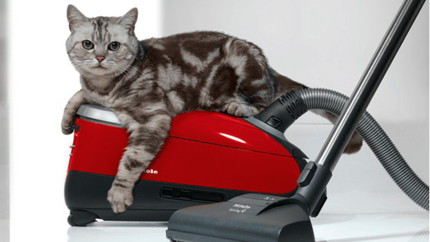 Pets vacuum