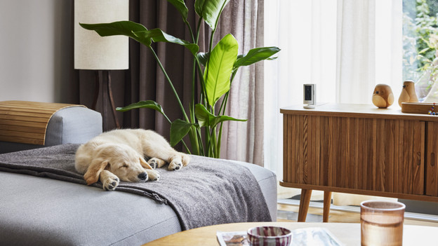 Houd je huisdieren in de gaten met smart tracking