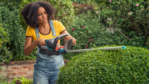 Pruning privet