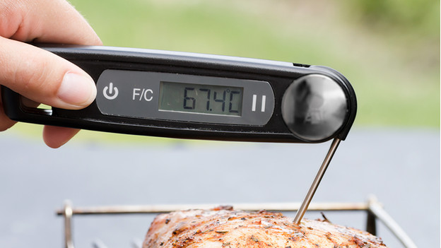 Comment utiliser un thermomètre à viande pour BBQ ? - Coolblue