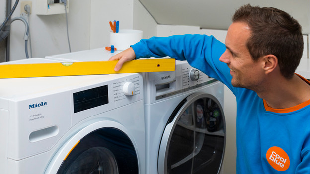 Main Et Met Le Linge Dans La Machine à Laver