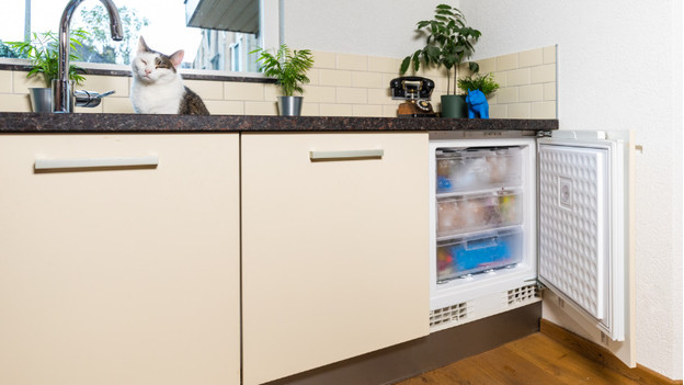 Build-in service freezers