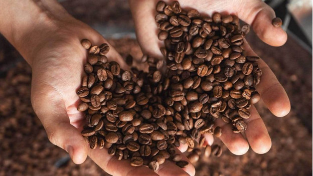 How to store coffee beans