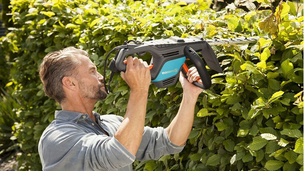 Pruning hedges