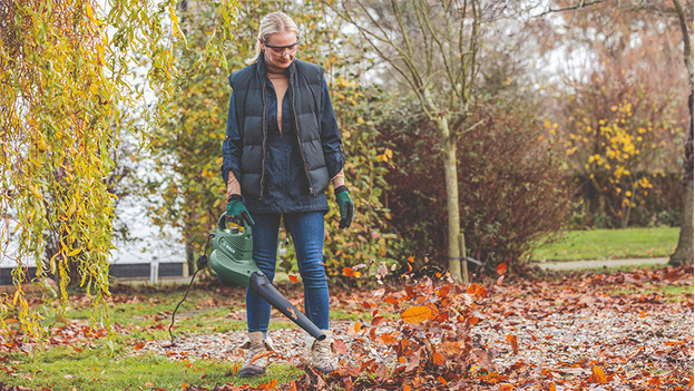 Air speed leaf blower