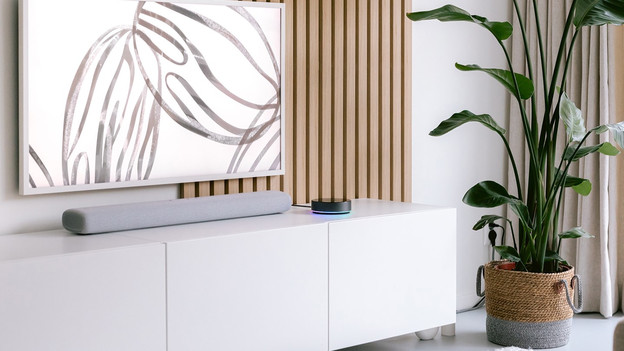 Connect the Homey to a smart speaker