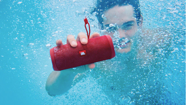 Enceinte sous l'eau
