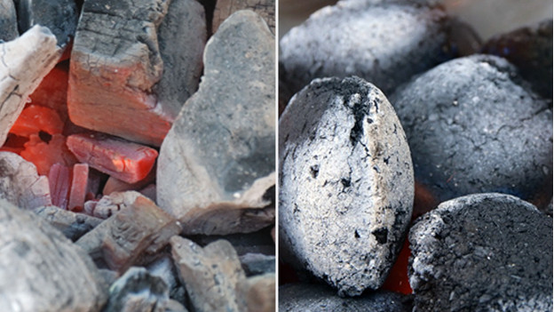 Charbon ou briquettes