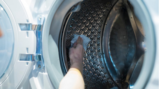 Comment nettoyer votre lave-linge séchant ? - Coolblue - tout pour un  sourire