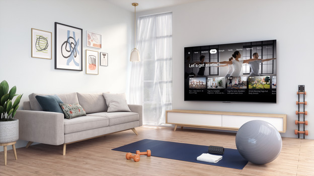TCL Google TV ingebouwde Chromecast
