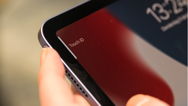 iPad mini 6 : la petite tablette d'Apple disposerait d'un écran de 8,3  pouces