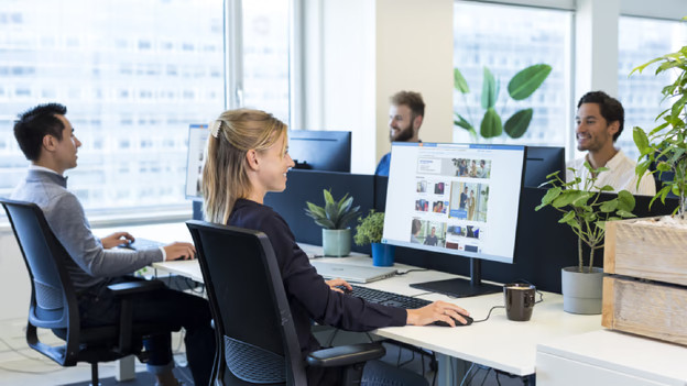 Office employees working thanks to laptop imaging
