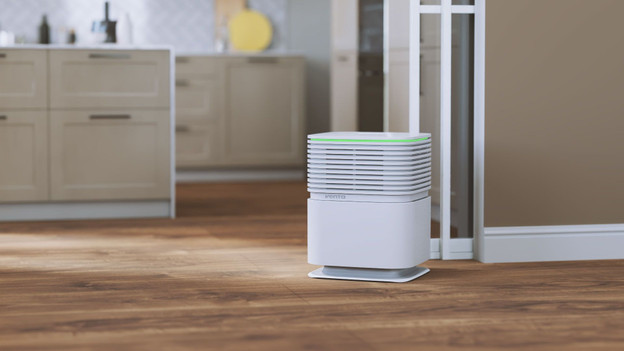 Steam humidifier