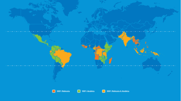 De herkomst van Arabica en Robusta koffiebonen