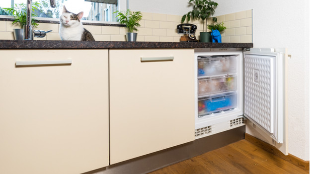 Freezer compartments with vegetables