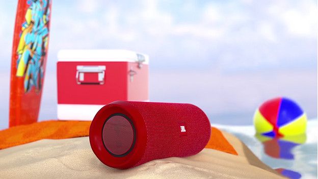 Enceinte sur la plage