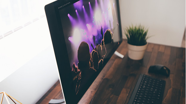 PC tout-en-un sur un bureau avec une plante à côté.