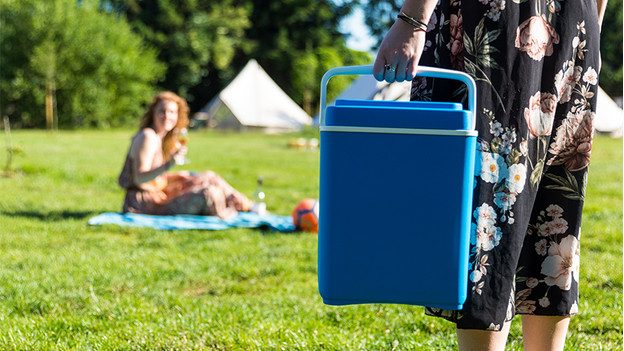 Tante Gedrag Bewonderenswaardig Welke soorten frigoboxen zijn er? - Coolblue - alles voor een glimlach