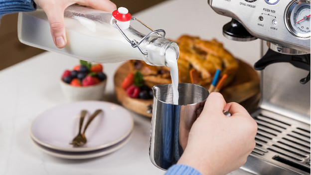Pichet rempli de lait