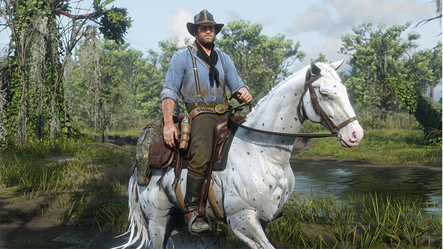 Capture d'écran de Red Dead Redemption 2