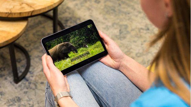 kleine iPad Mini past in een hand