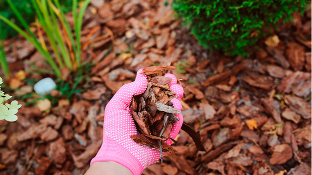 Mulch layer