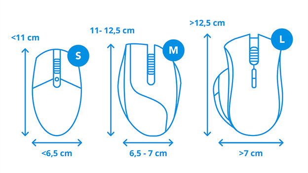 Visuel de la taille des souris