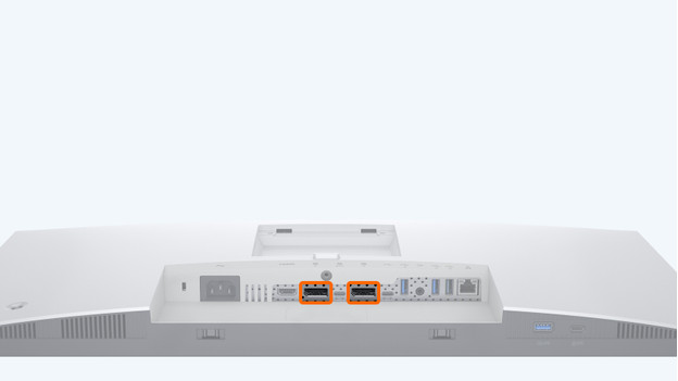 Le DisplayPort in et DisplayPort out sur un écran PC