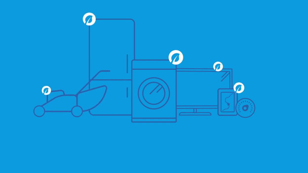 What can you buy with EcoCheques?