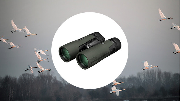 Binoculars for bird watching