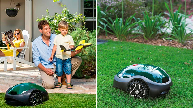 Robot-tondeuse sur l'herbe