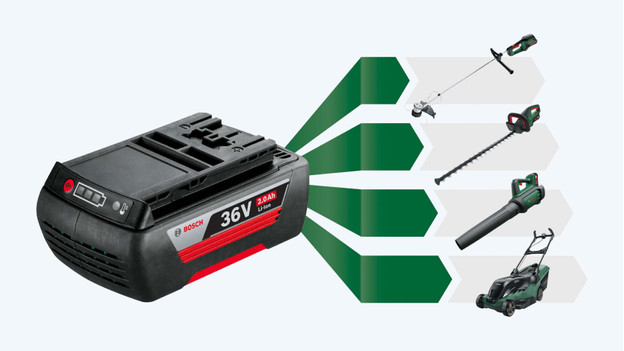 Batterie Bosch 36 volts pour outils de jardinage