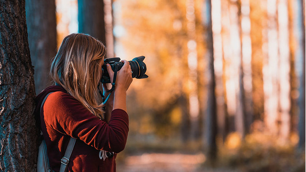 choice of lens hood