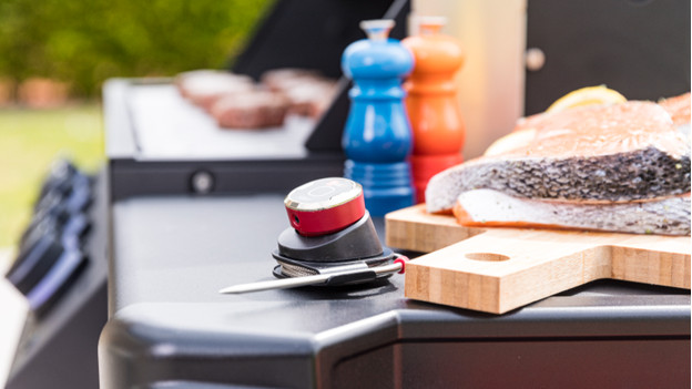 Accessoires pour barbecue thermomètre à viande